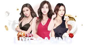 好博体育· (中国区)官方网站登录入口